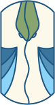 divisor.png