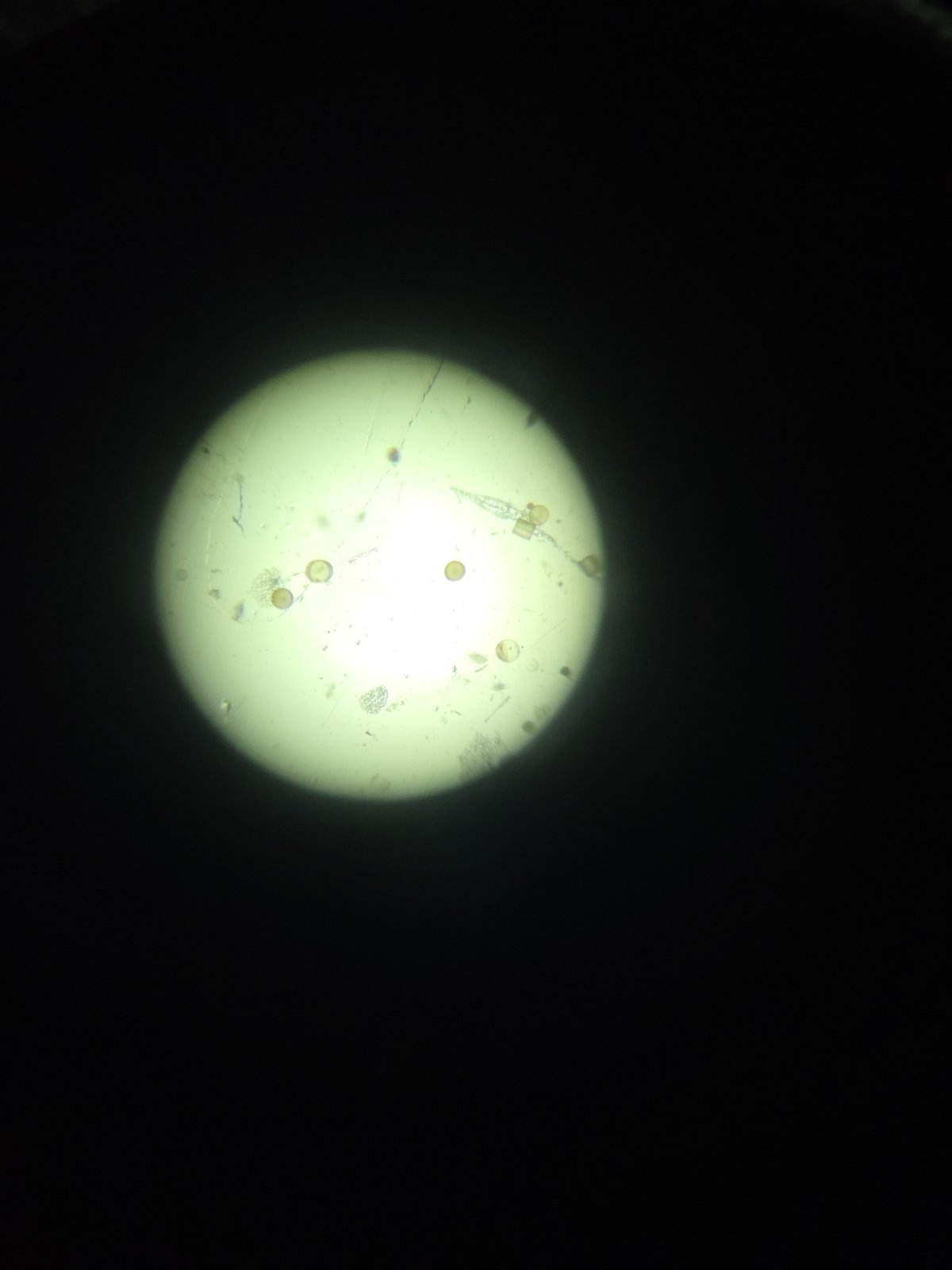 f_20260730_20260730_120248.jpg