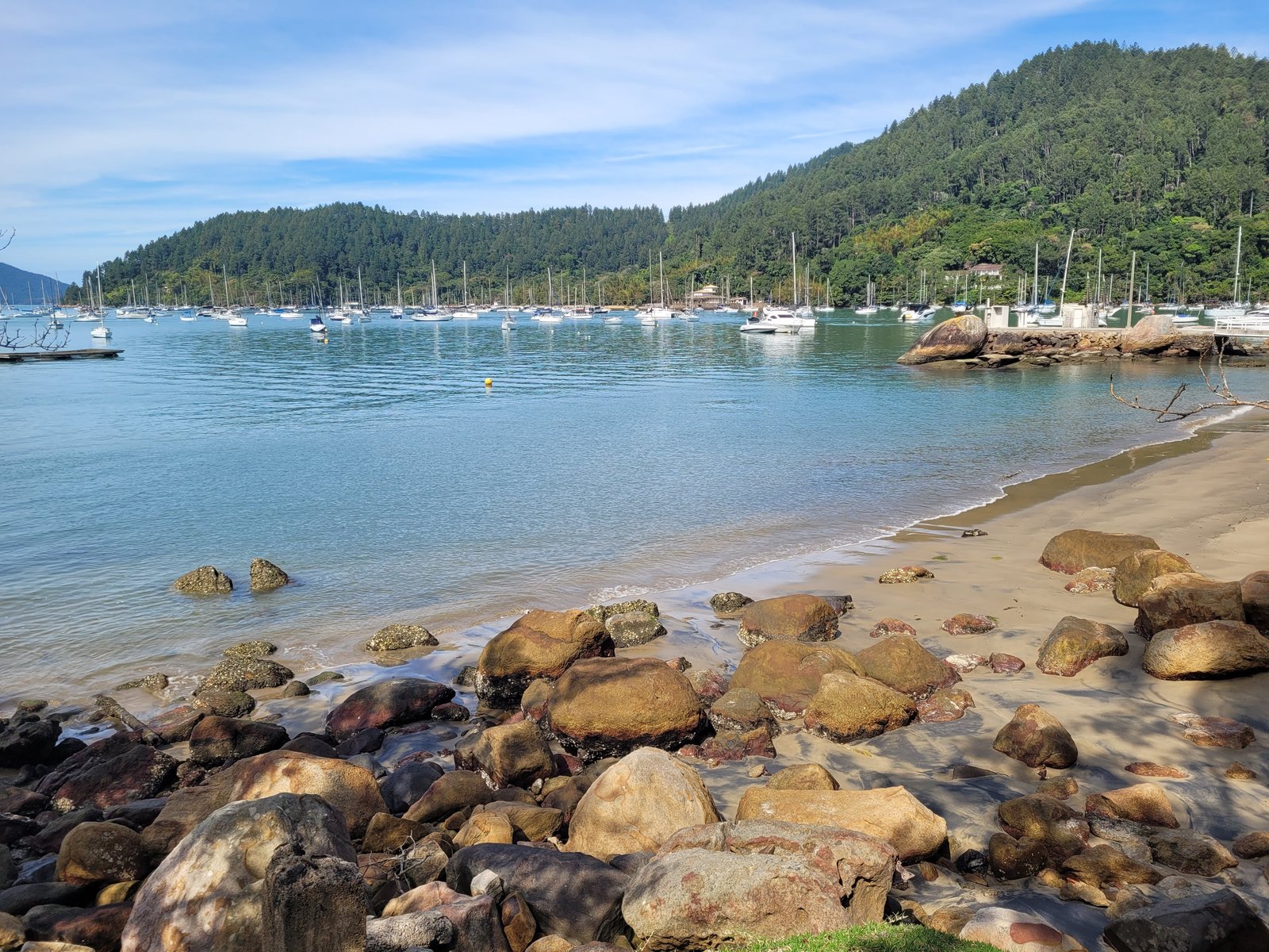 f_20260730_20260730_120254.jpg