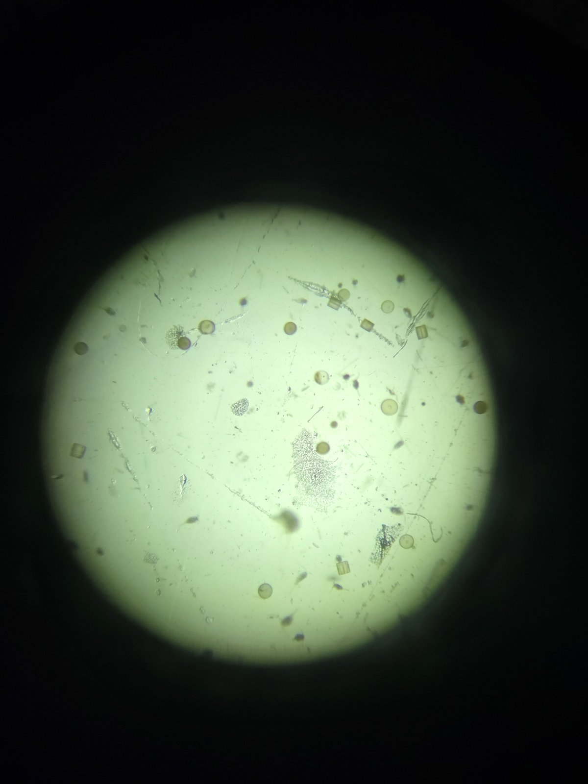 f_20260730_20260730_120300.jpg