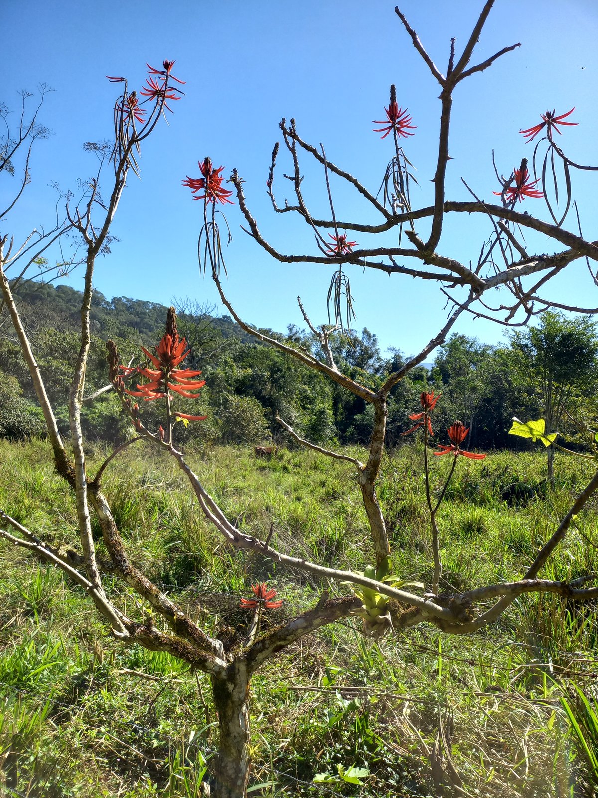 katia_20260801_103057.jpg