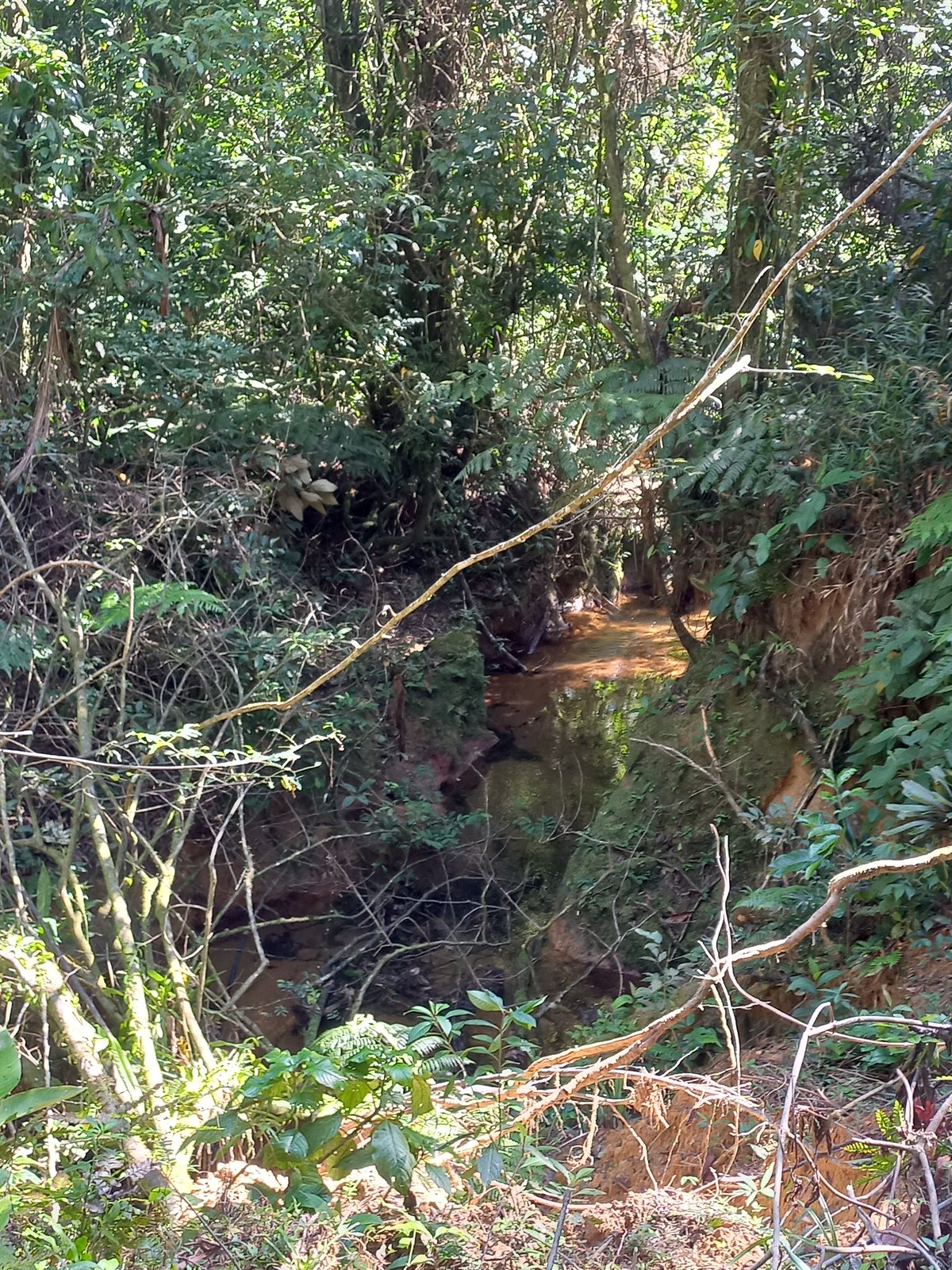 katia_20260801_103618.jpg