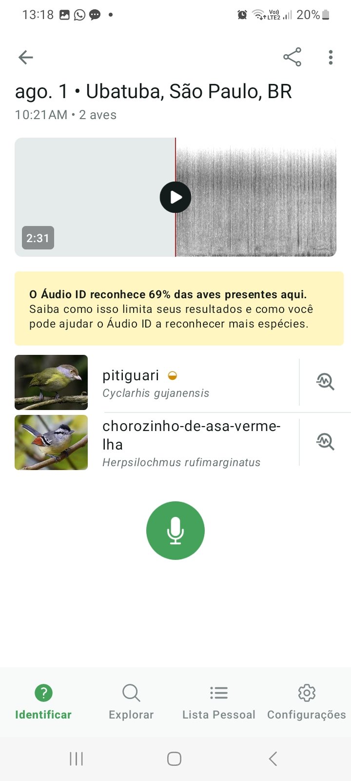 katia_screenshot_20260801_131818_merlin_bird_id.jpg