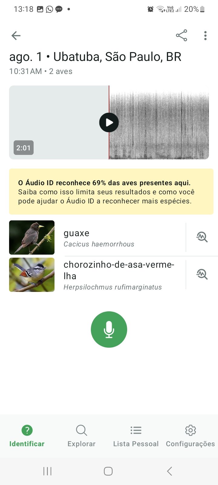 katia_screenshot_20260801_131830_merlin_bird_id.jpg